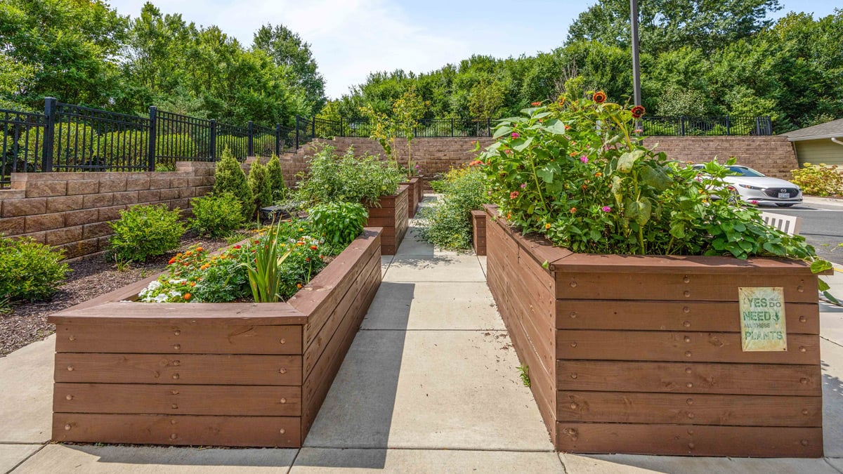 The gardens at Hessler Heights